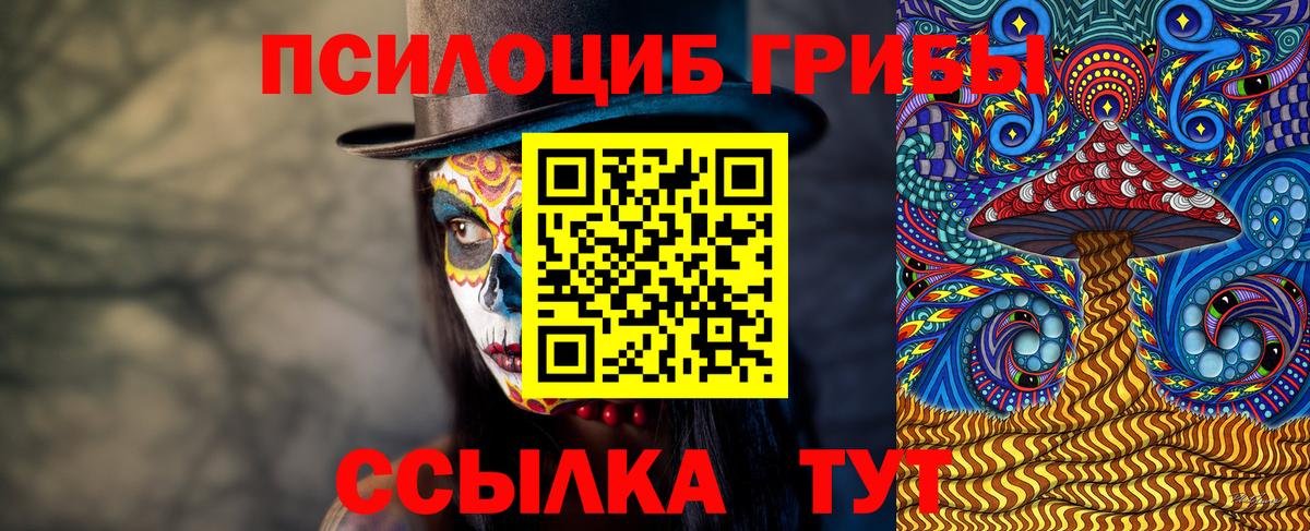 Псилоцибиновые грибы мицелий Озёры